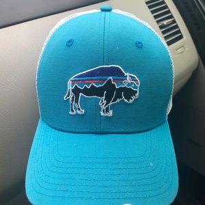 Patagonia Fitz Roy trucker hat